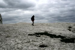 Chalk cliff top at the Seaford end of Seven sisters country park Wallpaper