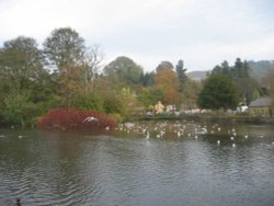 River Wye in Bakwell, Derbyshire. In November Wallpaper