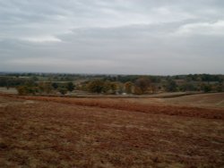 Looking down on Bradgate ruins lake Wallpaper