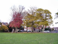 Dovecote Lane Park, Beeston, Nottinghamshire. Wallpaper