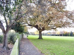 Dovecote Lane Park Beeston Nottinghamshire. Wallpaper