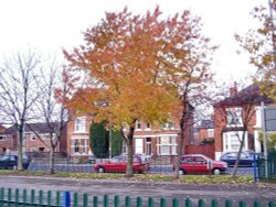 Dovecote Lane Park,Beeston Nottinghamshire. Wallpaper