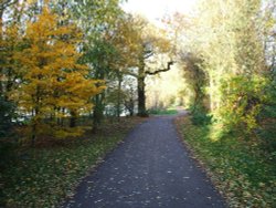 A very nice walk around John Merricks lake in Watermead Country Park, Leicester Wallpaper