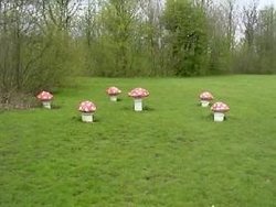 The Toadstools in Milton Keynes Wallpaper