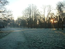 Cassiobury Park, Watford. The early morning sun peeps through the trees. Wallpaper