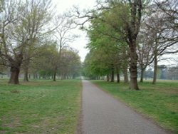 Cassiobury Park, Watford. The long road home Wallpaper