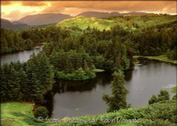 Tarn Hows, near Coniston, Lake District, Cumbria Wallpaper