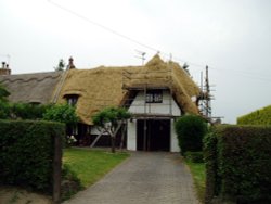 Thatched cottage, Foster Street, Harlow Common, Essex. Wallpaper