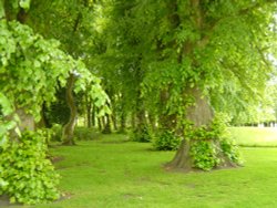 Photo taken in the grounds of Alnwick Castle Gardens Wallpaper