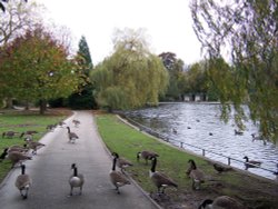 Cannon Hill Park, Birmingham Wallpaper