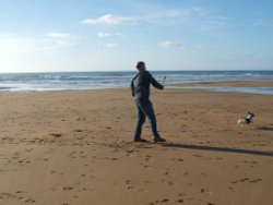 Dog at Play on Crooklets Beach, Bude Wallpaper