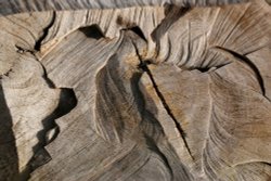 DRIFTWOOD on the shore at tees mouth, Berwick-upon-Tweed Wallpaper