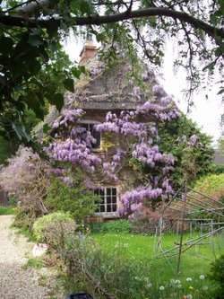 May in Shrivenham, Oxfordshire