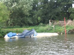 Sunken Boat, Norfolk Broads Wallpaper