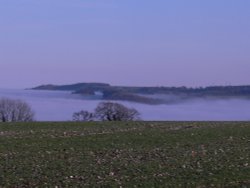 Low lying fog, on Somerset levels