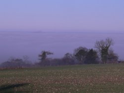 Low lying fog, on Somerset levels Wallpaper