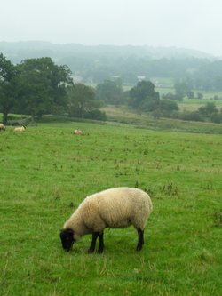 Tyne River Valley, Chesters Roman Fort, Northumberland