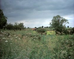 Countryside near Hannington, Northamptonshire Wallpaper