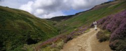 Peak District National Park, Derbyshire: Edale and the Kinder Plateau. Wallpaper