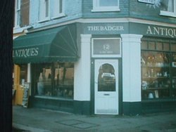 The Badger near St Mary's Road, Ealing Wallpaper