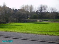 A picture of Worksop Wallpaper