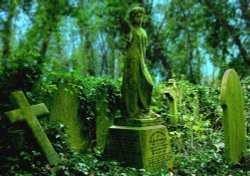 Highgate Cemetery. Wallpaper