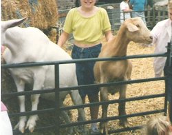 White Post Farm Park
Close to Farnsfield Notts
In with the goats 1990 Wallpaper