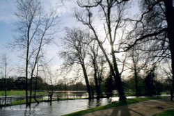 Oxford Christchurch meadow River Cherwell close to flooding. Wallpaper