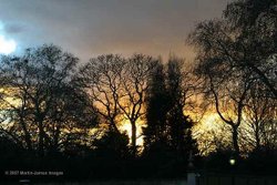 The sun setting over the Buckingham Palace Garden (London!) Wallpaper