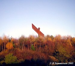 A picture of Angel of the North Wallpaper