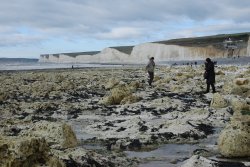 Birling Gap, East Sussex. Wallpaper