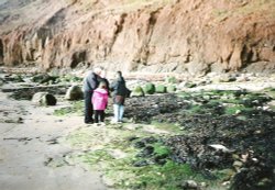 Beach at Filey, North Yorkshire in 1996. Full of interesting things. Wallpaper