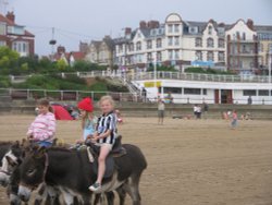 Donkey ride on South Beach, Bridlington, East Riding of Yorkshire. Wallpaper