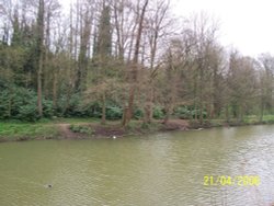 A lake in Swindon, Wiltshire. Wallpaper