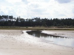 Holkham beach, Holkham, Norfolk Wallpaper