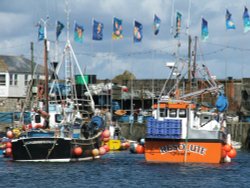 Mevagissey, Cornwall Wallpaper