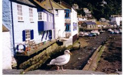 Polperro, Cornwall Wallpaper