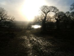 view of Bradgate park, Leicestershire Wallpaper