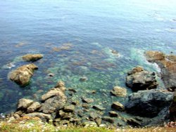 Lizard Point, Cornwall Wallpaper