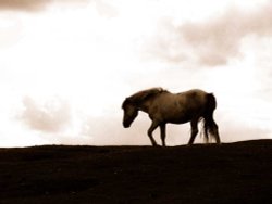 Somewhere on Dartmoor, Cornwall Wallpaper