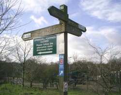 Signpost Wallpaper