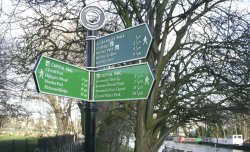 Signpost Wallpaper