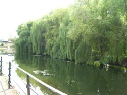 River Foss, York Wallpaper