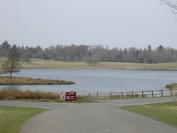 Tatton Park Lake, Knutsford, Cheshire 30.03.04 Wallpaper