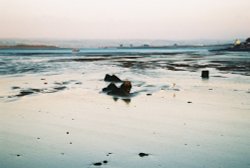 Looking back to Crow Point (left) and West Appledore (right) from Northam Burrows (Dec 06) Wallpaper