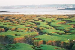 Greysands, Northam Burrows - looking back to Appledore, Devon (Dec 06) Wallpaper