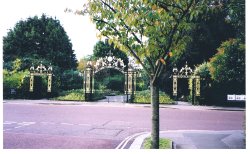 Queen Mary's Gates, Regent's Park, London Wallpaper