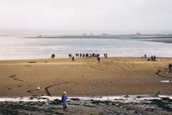 New Year's Day Charity Swim, West Appledore - 01 Jan 07 Wallpaper