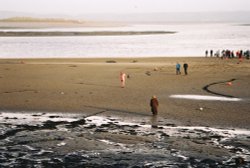 New Year's Day Charity Swim, West Appledore - 01 Jan 07 Wallpaper