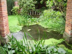 Pond in Winchester, Hampshire Wallpaper